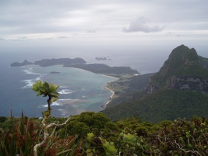 Lord Howe Island from the summit of Mt Gower