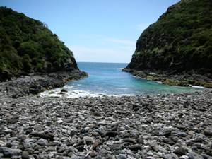 The Old Gulch at low tide